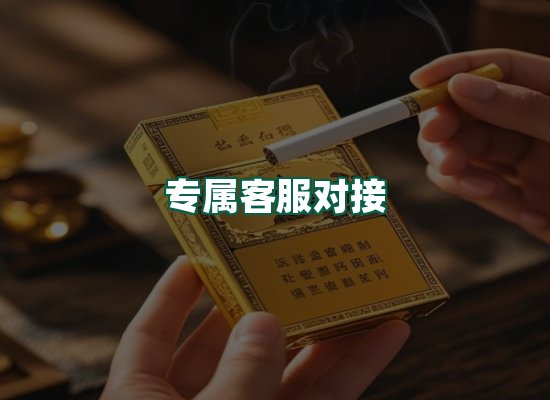 核心优势